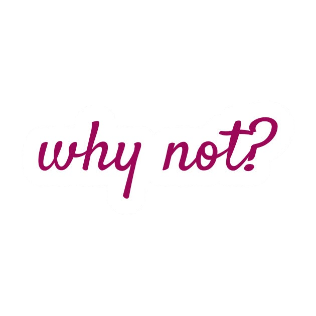 Why Not? Aesthetic Quote Sticker