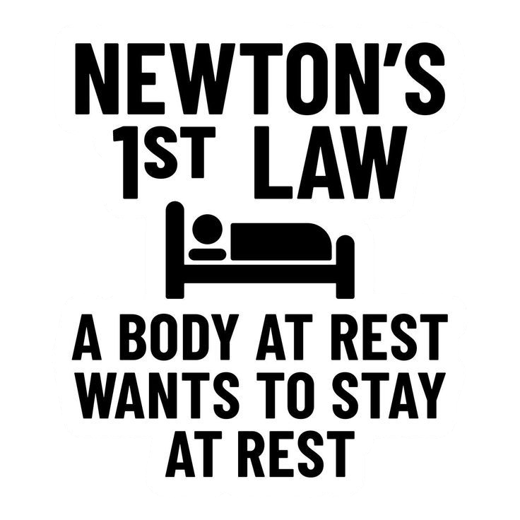 Newton's First Law Funny Science Sticker