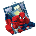 Spider-Man Red & Blue Action Sticke